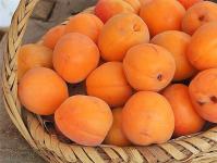 Варення з абрикосів: 11 рецептів абрикосового варення без кісточок та з кісточками на зиму